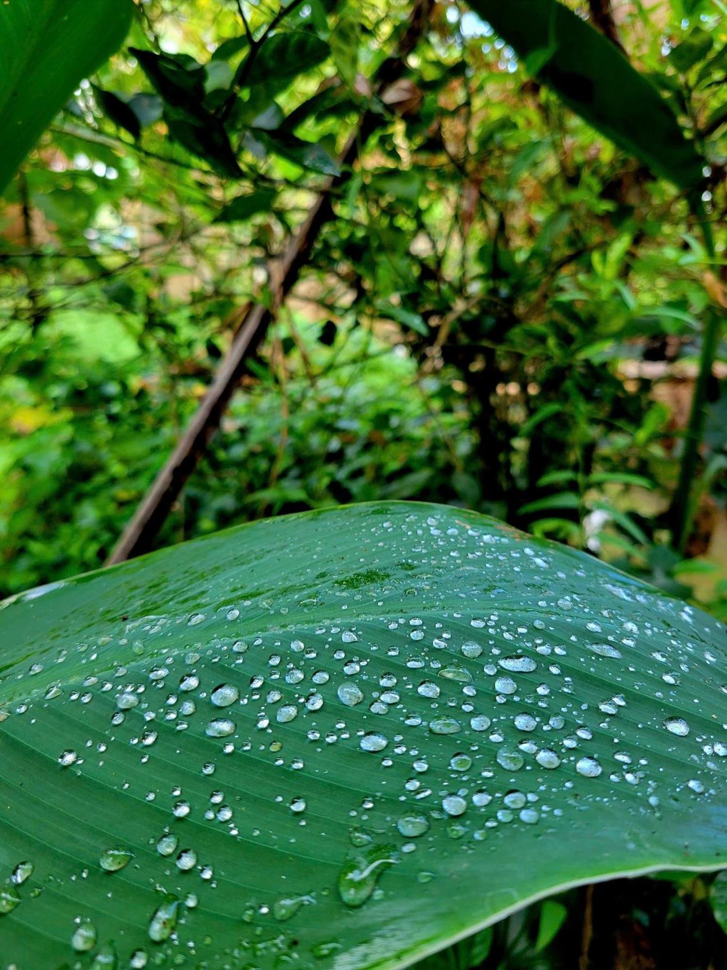 Nong Trai Thanh Thoi Ben Tre Eksteriør bilde